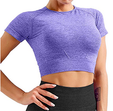 Load image into Gallery viewer, Short Sleeve Pullover Crop