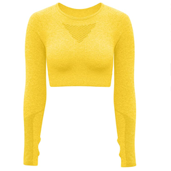 Long Sleeve Cut-out Crop Top