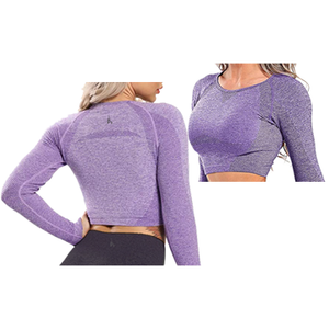 Long Sleeve Crop Top - Solid Back